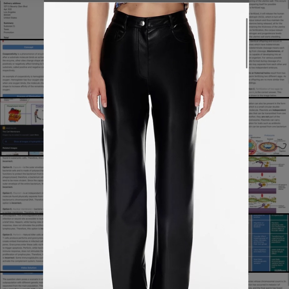 Two Aritzia Melina Pants. Worn once for both!